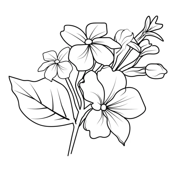 Kwiaty Wektorowe Botaniczne Ilustracja Delikatny Tatuaż Pierwiosnek Pierwiosnek Kwiat Farbowanie — Wektor stockowy