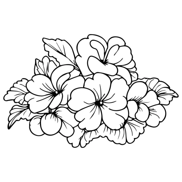 大人のための着色本の花 着色本 黒と白のベクターのイラスト 手描き 簡単なプリムローズフラワーデッサン 原始の線図 野生のプリムローズ図 バイオレットプリムローズ描画2月の誕生花 — ストックベクタ
