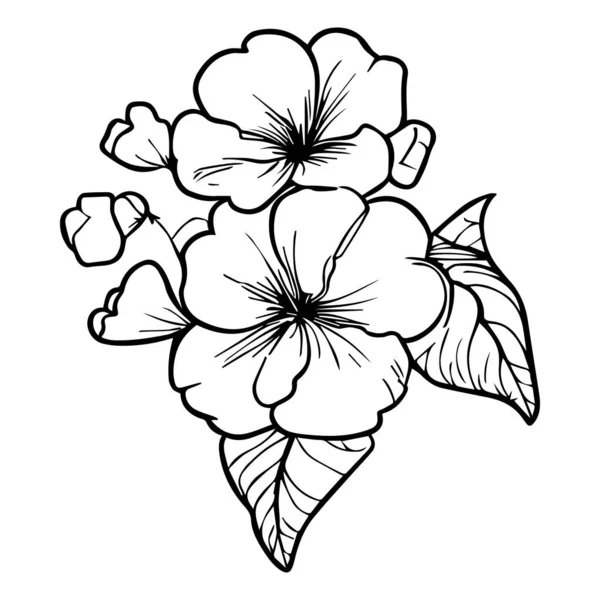 Handgezeichnete Skizze Der Blume — Stockvektor