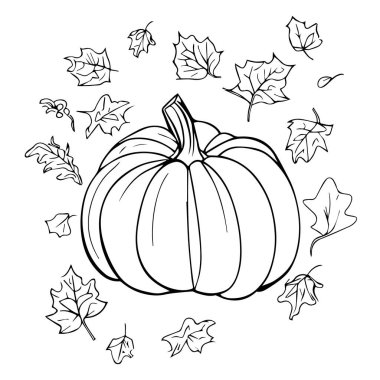 balkabağı ve sonbahar yaprakları izole vektör illüstrasyon tasarımı, merhaba düşen vektör sanat el yapımı illüstrasyonun doğal sonbahar yaprağı beyaz arka plan klipsi sanat boyama kitabı ve sayfalar izole.