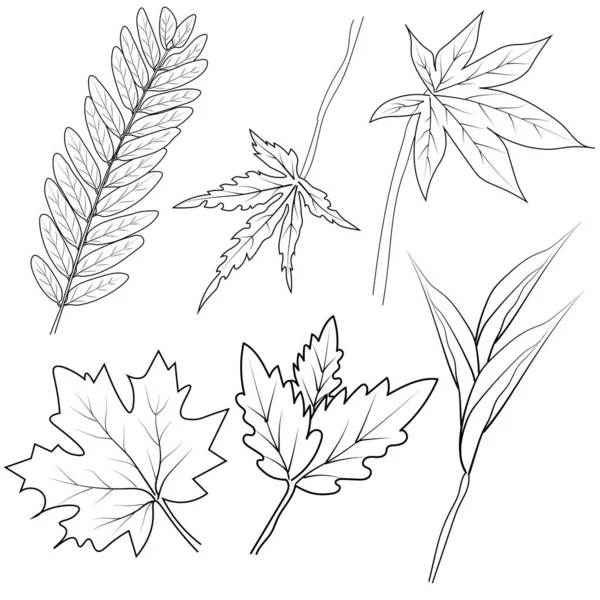 Vector Design Autumn Season Icons Collection Autumn Fall Stock Symbols — Stock Vector