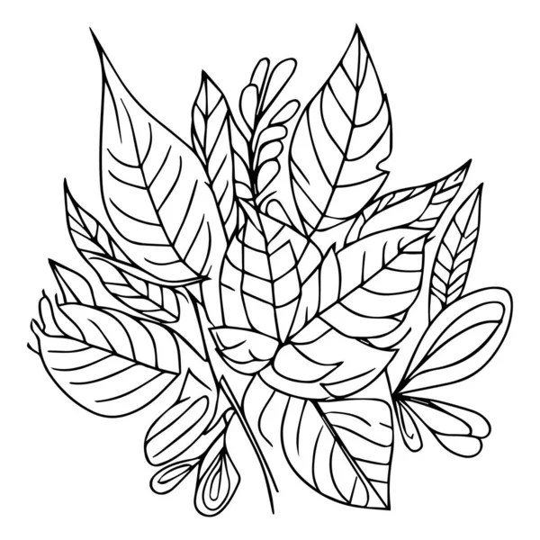 葉の装飾的なアイコン 植物の葉のベクターのイラストの秋秋秋の葉のスケッチの手描き 隔離されたイメージの着色のページおよび本 刻まれたインクアートの葉 秋の秋は美しいベクターアート カラーブック ページです — ストックベクタ