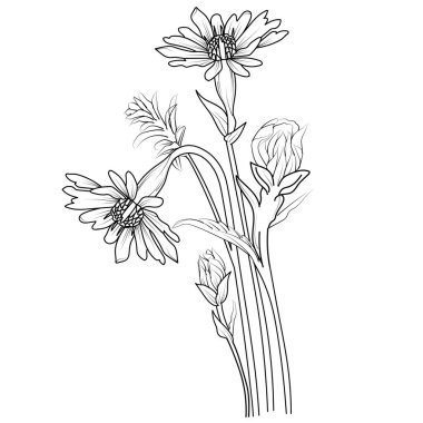 El çizimi çiçek çizimi, Paskalya çiçeği çizimi, Paskalya çiçeği çizimi, Paskalya Eylül dövmesi, Paskalya doğum çiçeği dövmesi, küçük paskalya çiçeği dövmesi, minimalist basit paskalya çiçeği dövmesi.