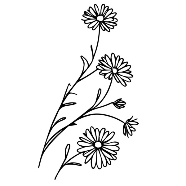 手描きの花と葉 ミニマリストの花の入れ墨 黒いアスターの入れ墨のデッサン 子供のためのカラーリングページ スターフラワーのアウトライン図面 植物のアスターライン図面 アスターベクターアート — ストックベクタ