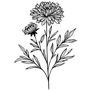 Yaprakları ve dalları olan el yapımı bir çiçek. Çiçek elementleri. vektör çizimleri, aile doğum çiçeği dövmeleri, omuz aile çiçeği dövmeleri, minimalist paskalya çiçeği dövmeleri, siyah paskalya dövmesi çizimleri, çocuklar için paskalya boyama sayfaları.,