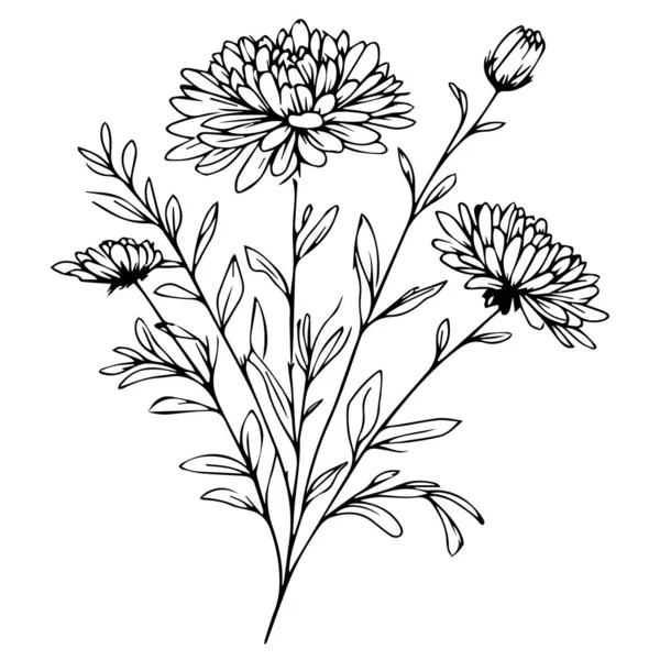 Vector Hand Drawing Sketch Chrysanthemum Flower Black White Ink Illustration — Stock Vector
