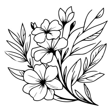 Periwinkle izole edilmiş, elle çizilmiş çiçek elementi. Mor menekşe buketi, eskiz sanatı güzel Catharanthus gül dövmesi yetişkinler için boyama sayfası botanik Madagaskar menekşe çizimi, mor menekşe çizimi.,