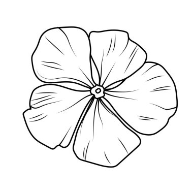 Anahat menekşe çizimi, menekşe çiçeği çizimi, klipsli sanat menekşesi çiçek taslağı, çocuklar için noyontara boyama sayfaları, adım adım menekşe çiçeği çizimi, Madagaskar menekşeli menekşe çizimi, Catharanthus roseus Sada bahar çizimi