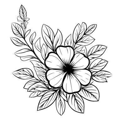 Catharanthus gül çiçek sanatı, el yapımı botanik bahar elementlerindeki bir yazı tipi görüntüsünün vektör çizimi renk sayfası için doğal kadife çiçeği koleksiyonu sanatı, gerçekçi çiçek boyama sayfaları, menekşe çiçeği hatları