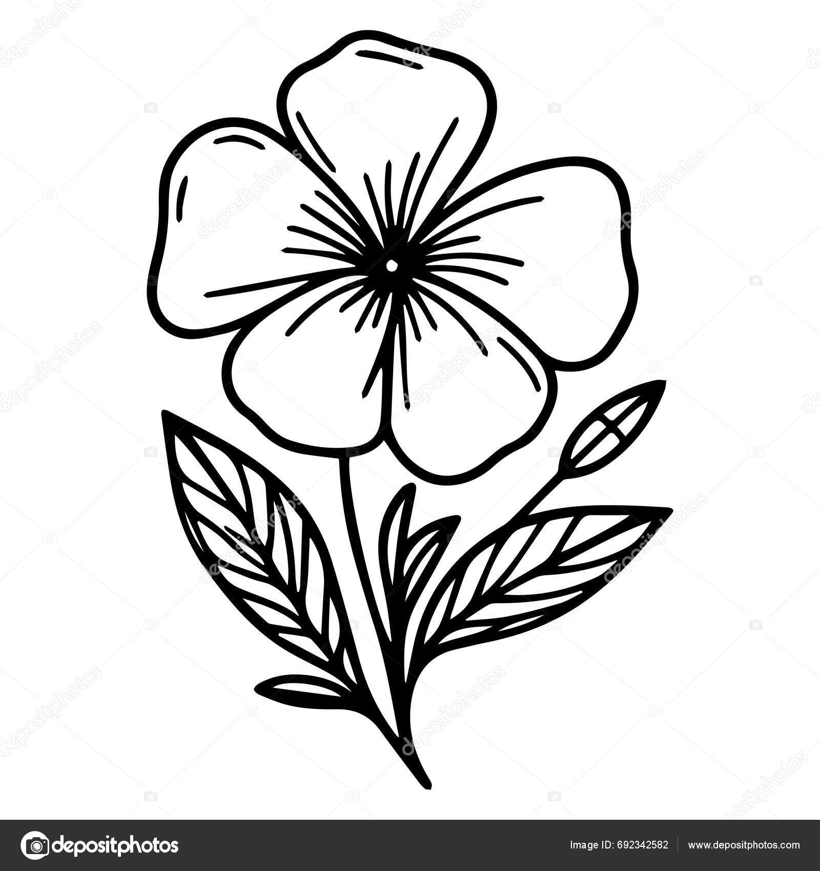 Vetor Desenhando Uma Flor Com Tinta Preta Branca Ilustração Desenhada Vetor  de ©saminaakter 692342582, image size:1600x1700