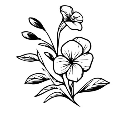 Çiçek ve yaprakların vektör çizimi, Periwinkle vektör sanatı ve tek renkli çiçek çizimi. mürekkep vektörü çizimi el çizimi, botanik koleksiyonu basitliği, sanatsal, çocuklar için boyama kitabı