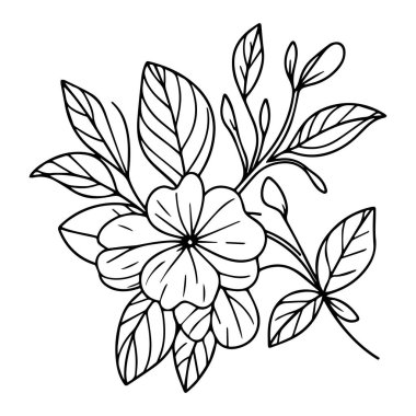 Çocuklar için noyontara renklendirme sayfaları, adım adım menekşe çiçeği çizimi, Madagaskar menekşe çizimi, Catharanthus Roseus Sada bahar çizimi, çocuklar için küçük menekşe çiçeği dövmesi