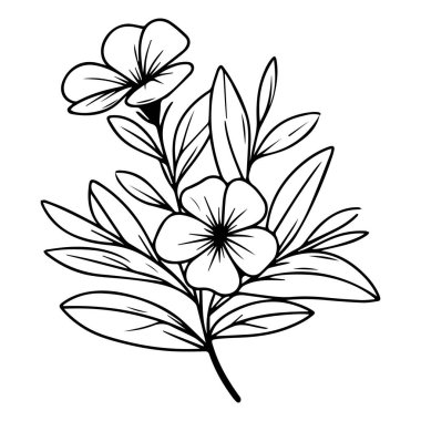 Yapraklı tropikal çiçekler vektör illüstrasyon tasarımı, kırpma sanat menekşesi çiçek taslağı, çocuklar için noyontara renklendirme sayfaları, adım adım menekşe çiçekleri çizimi, Madagaskar menekşe çizimi, Catharanthus gülleri Sada bahar çizimi,