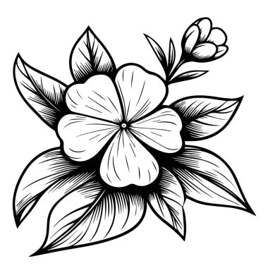 menekşe çiçeği çizimi, kırpma sanatı, minimalist menekşe çiçeği çizimi, basit Catharanthus çizimleri, basit menekşe çiçeği çizimi, kalem çizimi Sada bahar çiçek çizimi, ana hatlı menekşe çizimi, menekşe çiçeği çizimi