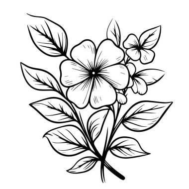 menekşe çiçeği çizimi, kırpma sanatı, minimalist menekşe çiçeği çizimi, basit Catharanthus çizimleri, basit menekşe çiçeği çizimi, kalem çizimi Sada bahar çiçek çizimi, ana hatlı menekşe çizimi, menekşe çiçeği çizimi