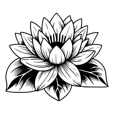 Çiçek boyama kitabı el çizimi botanik bahar elementleri buketi, boyama sayfası, vektör çizimi, sanatsal basitlik karalama sanatı, nilüfer çiçeği çizimi. Elle çizilmiş vektör çizimi. izole.