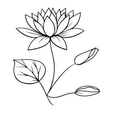Kolay sarı sulu nilüfer çiçeği çizimi, yaprak çizgileri, bitki vektörü botanik illüstrasyon kitapları ve çocuklar ve yetişkinler için sayfa, sulu vektör.