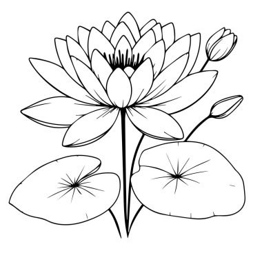 Çiçek düzenleme hattı sanat koleksiyonu, Gelişmiş Çiçek Renk Sayfası, Güzel Su Zambağı duvar sanatı, Su rengi Sayfaları, Sanatsal dekoratif çiçek çizimi, güzel çiçek boyama sayfaları, çiçek boyama sayfası siyah beyaz vektör.