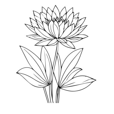 Çocuklar için boyama sayfaları, Kolay Çiçek Sanatı el çizimi taslak çizimi sanatsal sulu çiçekli çiçek buketi el çizimi kalem sanatı, izole edilmiş gerçekçi çiçek boyama sayfaları. Basit su zambağı çizimi