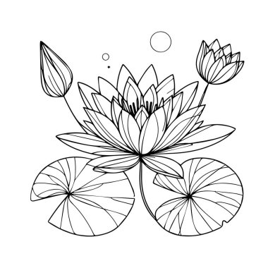 Sulu çiçek çizgisi sanatı, yetişkinler için çiçek boyama sayfaları, güzel çiçek boyama sayfaları, elle çizilmiş sulu çiçek, botanik nilüfer resmi, soluk mavi su nilüferleri, basılabilir şablon.