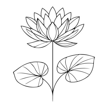 Sulu kalem sanatı, siyah-beyaz taslak vektör boyama sayfası ve yetişkinler ve çiçekler için Lotus kitabı, elle çizilmiş mürekkep çizimi sanatsal tasarımı. Su zambağı çizimi, eski sulu zambak çizimi, mor nilüfer çizimi.