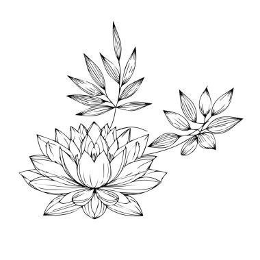 Larkspur Temmuz doğum çiçeği dövmesi, gerçekçi siyah-beyaz su zambağı dövmesi, su zambağı dövmesi siyah-beyaz, su zambağı, minimalist geometrik su zambağı dövmesi, su zambağı çizgisi