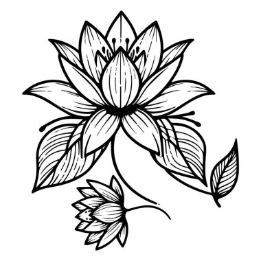 Çocuklar için nilüfer çiçeği çizimi, su kalemi çizimi, nilüfer yaprağı suyu çizimi, nilüfer yaprağı dövmesi, nilüfer çiçeği dövmesi. Lotus çiçeği..