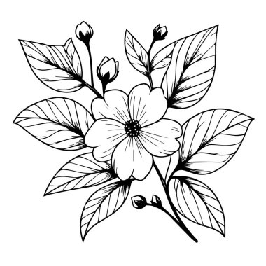 Çizgi sanatı basit yasemin çiçeği çizimi, gerçekçi yasemin çiçeği çizimi, Arap yasemin yasemin çiçeği dövmesi, minimalist yasemin hatları yasemin çiçeği dövmesi dal şeklinde güzel çiçekler