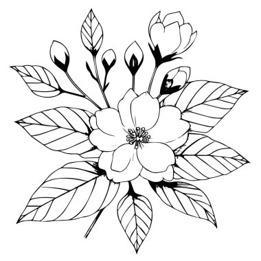 Minimalist yasemin çiçeği dövmesi, beyaz yasemin çiçeği çizimi, gerçekçi yasemin çiçeği çizimi, sanat yasemin çiçeği çizimi, basit sanat çizgisi yasemin çiçeği siyah beyaz çiçek çizimi. Çocuklar için el çizimi yasemin boyama sayfaları