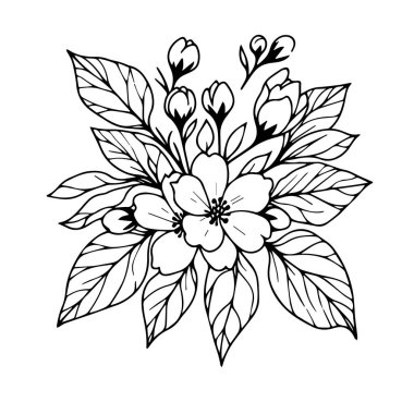 Karalama yasemin çiçeği çizimi, dövme yasemin çiçeği çizimi, ana hatlı yasemin çiçeği dövmesi, basit yasemin çiçeği dövmesi, minimalist yasemin çiçeği dövmesi, beyaz yasemin çiçeği çizimi, yapraklı çiçek, siyah beyaz çizgi vektör çizimi, 