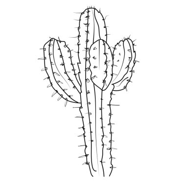 Şirin kaktüs ve sulu tencere. Kaktüs ve sulu tencere. El yapımı vektör çizimi, kawaii kaktüs boyama sayfası, çöl kaktüsü boyama sayfası, basit kaktüs boyama sayfası, basit kaktüs boyama sayfası basılabilir sayfa boyama sayfaları.