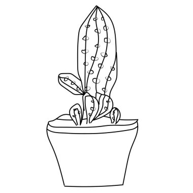 Şirin kaktüs ve sulu tencere. Kaktüs ve sulu tencere. El yapımı vektör çizimi, şirin kaktüs kırpması siyah beyaz, kaktüs çizgisi sanat, kaktüs vektör sanatı, el çizimi kaktüs, çocuklar için kaktüs boyama sayfaları.