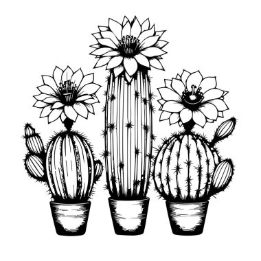 Sulu kaktüs seti. Vektör illüstrasyonu, kalem kaktüs çizimi, kalem çizimi kaktüs çizimi, siyah-beyaz çizimi, siyah-beyaz kaktüs çizimi siyah-beyaz kaktüs tırmanışı siyah-beyaz kaktüs çizimi, kaktüs çizimi, kaktüs çizimi, vektör sanatı.