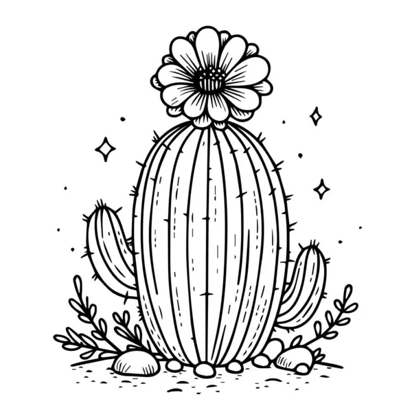Kaktus Mit Blumen Isoliertes Symbol Einfacher Kaktus Ausmalseite Pflanze Einfache Vektorgrafiken
