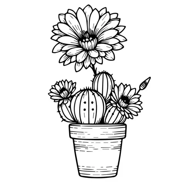 Handgezeichnete Kaktuspflanze Vektor Bleistiftzeichnung Kaktuszeichnung Kaktuszeichnung Schwarz Und Weiß Einfache Stockillustration
