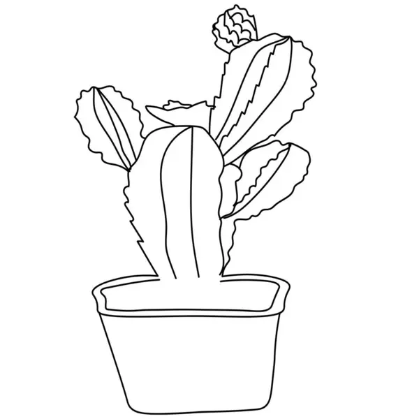 Kaktus Mit Blumen Topf Vektorillustration Wüstenkaktus Malseite Umriss Kaktus Malseite Vektorgrafiken