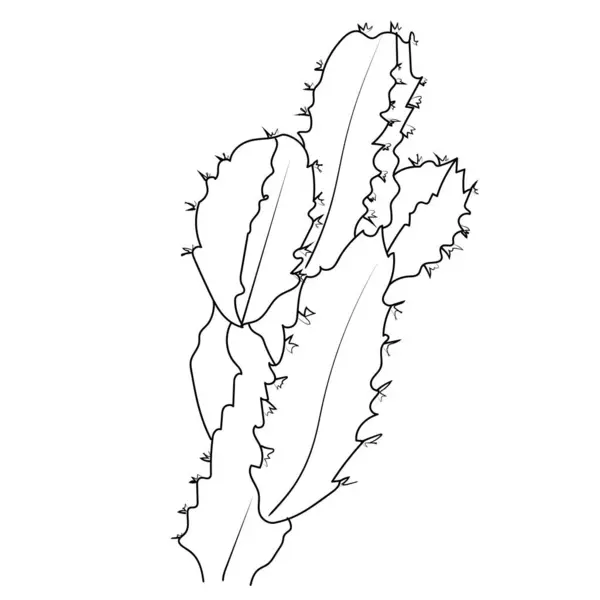 Kaktus Symbol Umrissstil Pflanze Einfach Kaktus Ausmalseite Druckbare Saftige Ausmalseite Vektorgrafiken