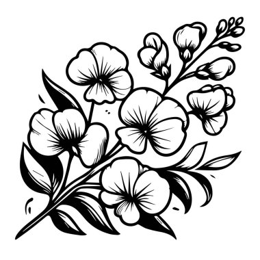 Tatlı bezelye çiçekleri boyama sayfası, basitlik, süsleme, tek renk, vektör sanatı, çiçek desenli dış iz bezelye yaprağı, tomurcukları, tatlı bezelye çiçeği dövmeleri, beyaz arkaplanda izole edilmiş boyama sayfaları için süslü bezelye bitkisi.