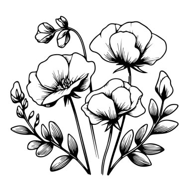 Tatlı bezelye çiçeği, tatlı bezelye çiçeği çizimi, tatlı bezelye çiçeği çizimi, tatlı bezelye çiçeği çizim sayfaları, bedava basılabilir çiçek boyama sayfaları, taze bezelye boyama sayfaları davetiye için çiçek deseni çizimi