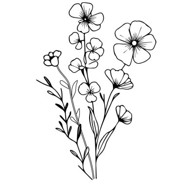 Kart ya da baskı için tatlı bezelye çiçeği tasarımı. El boyaması tatlı bezelye ve papatya çiçeği çizimleri beyaz, oymalı mürekkep resimleri çiçek boyama sayfaları, basım kitapları, güzel çiçek boyama sayfaları, şirin çiçek boyama sayfaları.