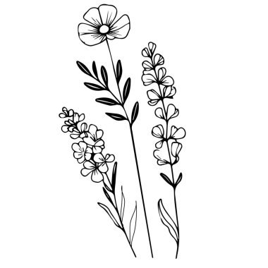 Doğum çiçeği vektör illüstrasyonu, güzel tatlı bezelye ve papatya çiçeği duvar dekoru, el çizimi renkli sayfalar sanatsal bezelye işlemeli mürekkep resimleri, tatlı bezelye çiçeği dövmeleri, estetik çiçek kümesi çizimleri.