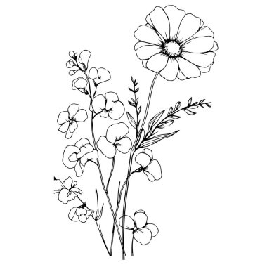 Doğum çiçeği vektör illüstrasyonu, güzel tatlı bezelye ve papatya çiçeği duvar dekoru, el çizimi renkli sayfalar sanatsal bezelye işlemeli mürekkep resimleri, tatlı bezelye çiçeği dövmeleri, estetik çiçek kümesi çizimleri.
