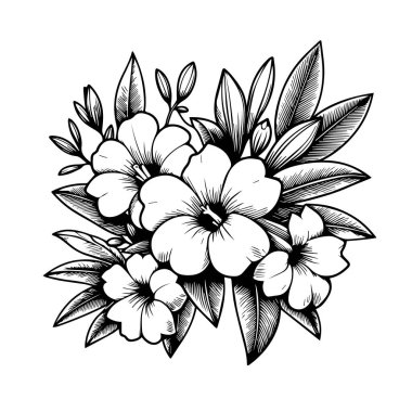 Boyama sayfası için Allamanda katalizör çizgisi sanatı, gerçekçi çiçek boyama sayfaları, Allamanda katalizör çiçek ana hatları, Allamanda katarizası siyah dövme yapraklı ve dallı güzel beyaz çiçekler. vektör illüstrasyonu