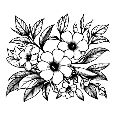 Eskiz sanatı güzel allamanda katarka gülleri çiçek dövmesi yetişkinler için boyama sayfası botanik Madagaskar menekşe çizimi mor menekşe çizimi çiçek çizimi. Doğum çiçeği Allamanda Cathartica doodle buketi