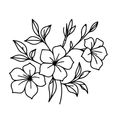 Narin Allamanda katartik dövmesi. Allamanda katartik vektör çizimi, güzel Allamanda katartik çiçek buketi, el çizimi boyama sayfaları ve sanatsal çiçek sarı gül güzel çiçek desenli ikon tasarım tasarımı.