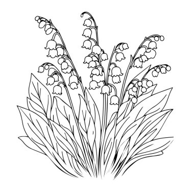 Vadi Çiçekleri 'nin Zambağı renklendirme sayfası, basitlik, süsleme, monokrom, vektör sanatı, Çiçekli Zambak' ın çiçekli taslağı, vadideki çiçeklerin çizimi..
