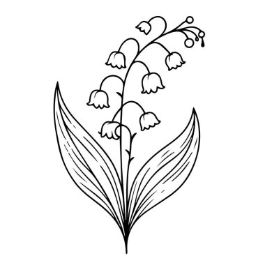 Vadideki zambak seti beyaza izole edilmiş, vadideki zambak çizimi, zambak çizimi, mürekkep sanatı, basit çiçek boyama sayfaları, renkli sayfalar, siyah ve beyaz vektör çizimi.