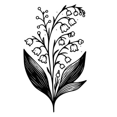 Vadi 'nin Zambağı çiçek boyama sayfası, basitlik, süsleme, monokrom, vektör sanatı, Çiçekli Zambak özeti, yapraklar, ve tomurcuklar Vadi' nin Zambağı çiçek dalları.