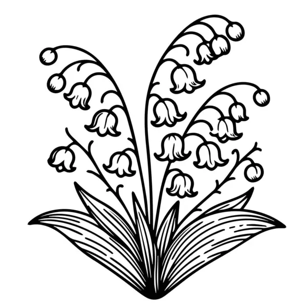 Çocuklar için boyama kitabı, ve yetişkinler, çocuk resimleri, vektör çizimi Vadi 'nin Lily' si dövme çizimleri, çocuklar için Çiçek Vadisi 'nin Lily' si el çizimi çiçekleri, Vadi 'nin Lily' si dövmeleri.