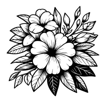 Boyama kitabı ya da sayfa için güzel botanik desenli illüstrasyon nergis, narsis çiçeği çizimi beyaz arka planda izole edilmiş çiçek buketi, çiçek kümesi çizimi çiçek ve yapraklar